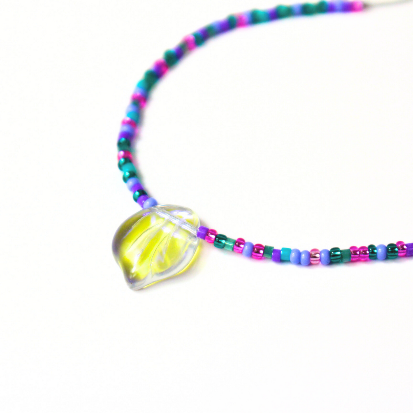 Concha Colores