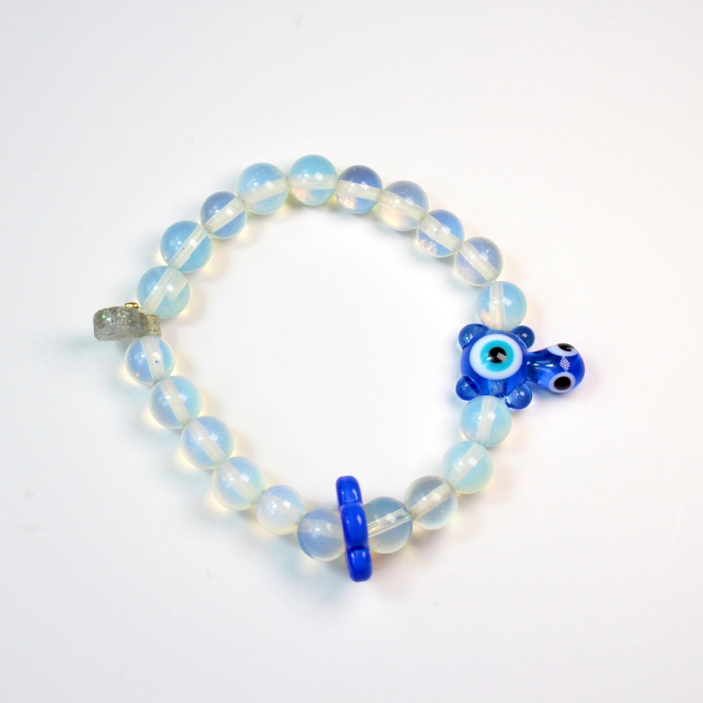 Tortuga Azul